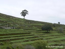 Via-Algarviana